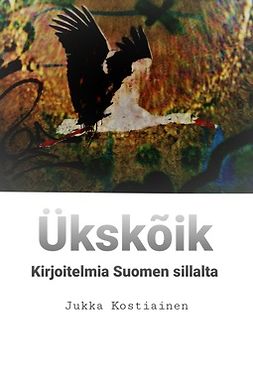 Kostiainen, Jukka - Ükskõik: Kirjoitelmia Suomen sillalta, e-kirja