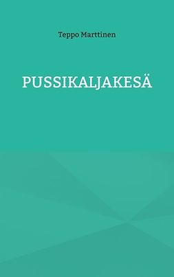 Marttinen, Teppo - Pussikaljakesä, e-kirja