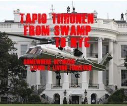 Tiihonen, Tapio - From Swamp to NYC, e-bok