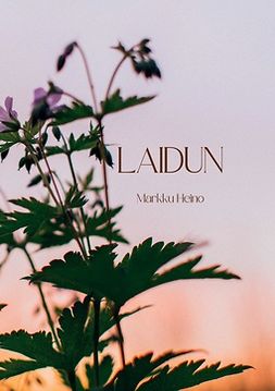 Heino, Markku - Laidun, ebook