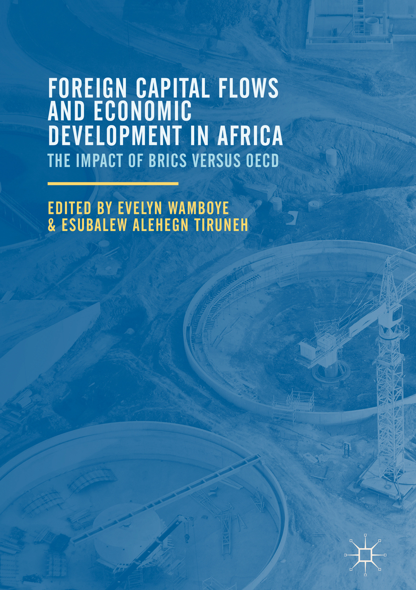 Tiruneh, Esubalew Alehegn - Foreign Capital Flows and Economic Development in Africa, e-kirja