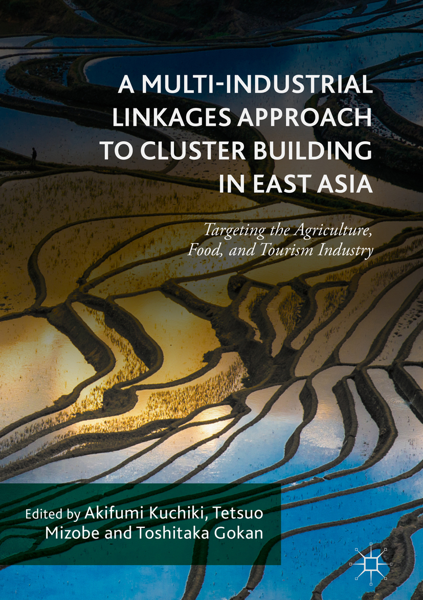Gokan, Toshitaka - A Multi-Industrial Linkages Approach to Cluster Building in East Asia, ebook