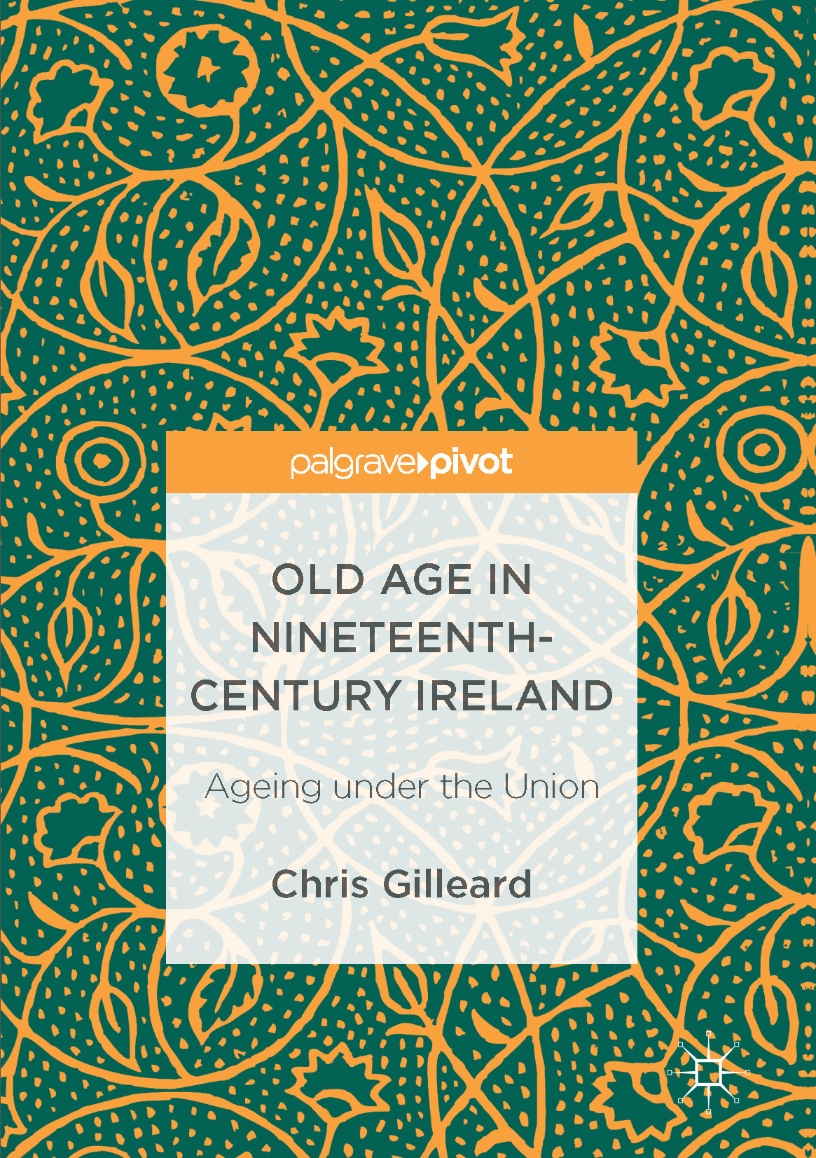 Gilleard, Chris - Old Age in Nineteenth-Century Ireland, ebook