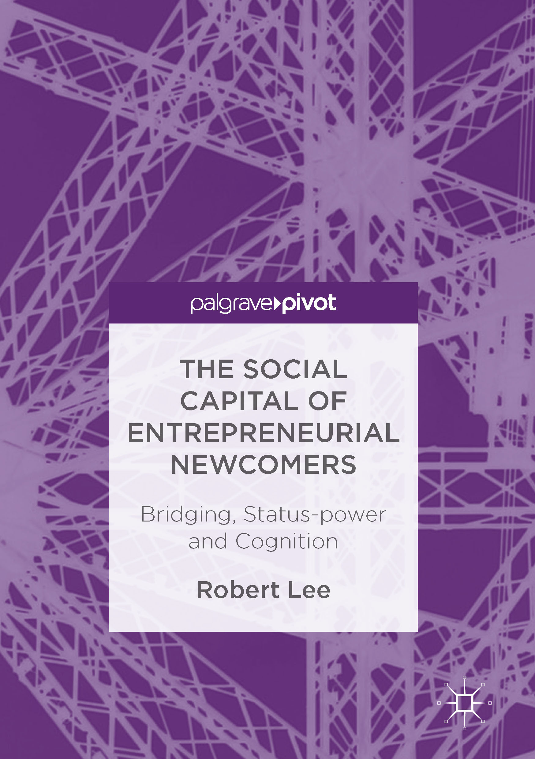 Lee, Robert - The Social Capital of Entrepreneurial Newcomers, e-kirja