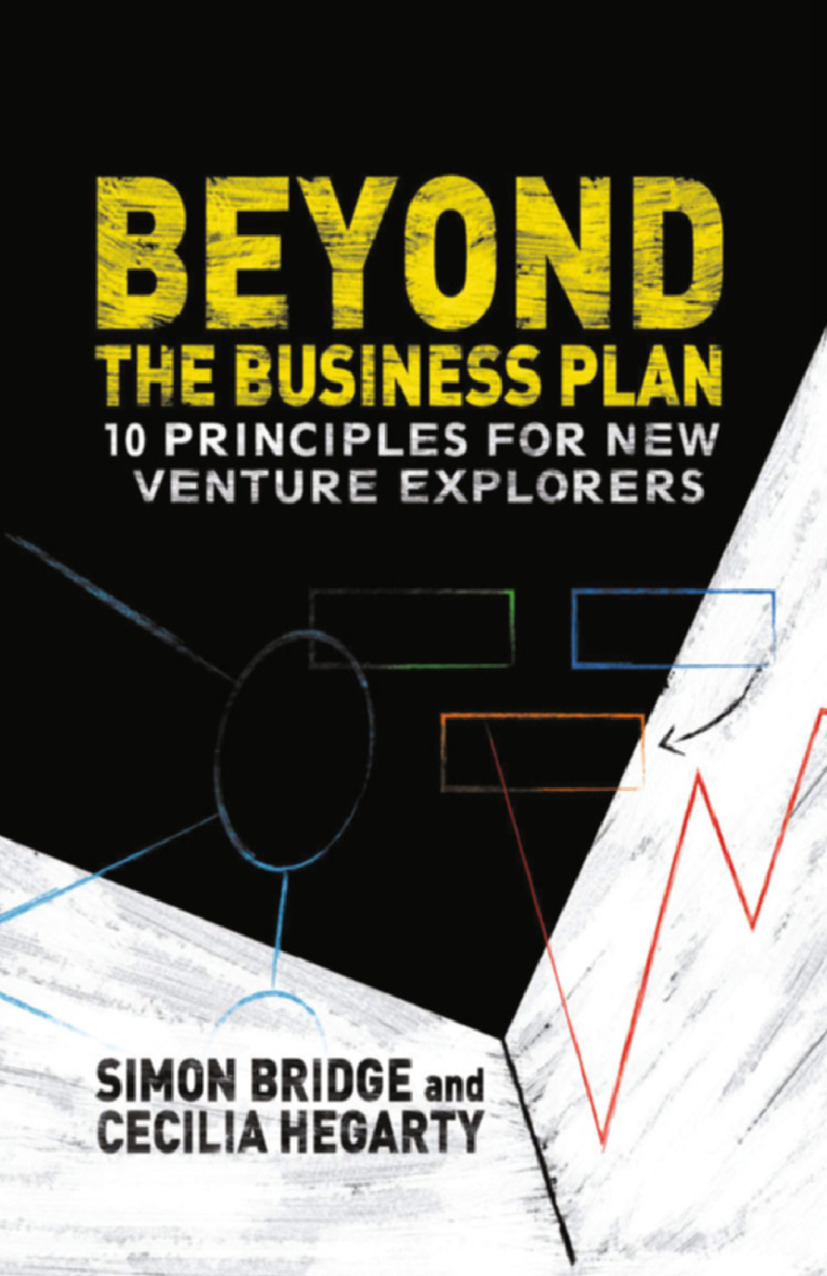 Bridge, Simon - Beyond the Business Plan, ebook