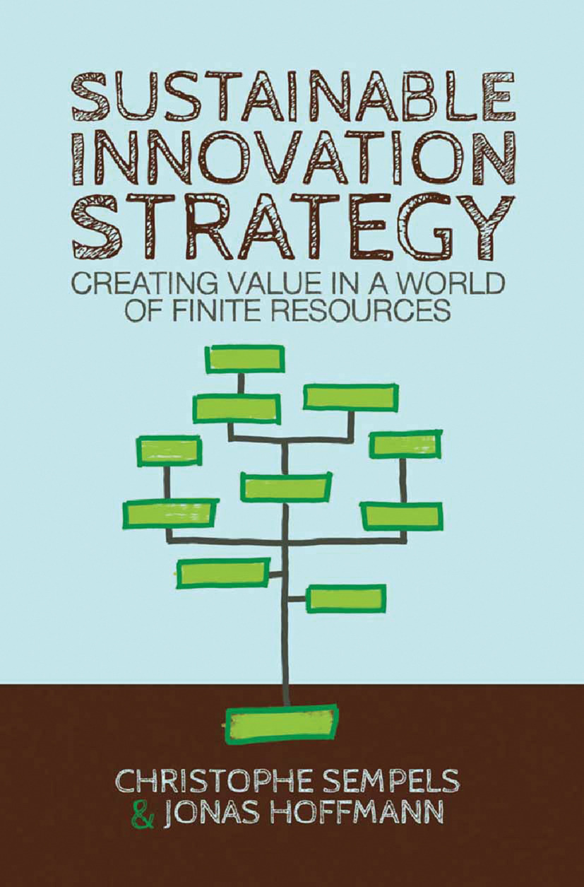 Hoffmann, Jonas - Sustainable Innovation Strategy, ebook