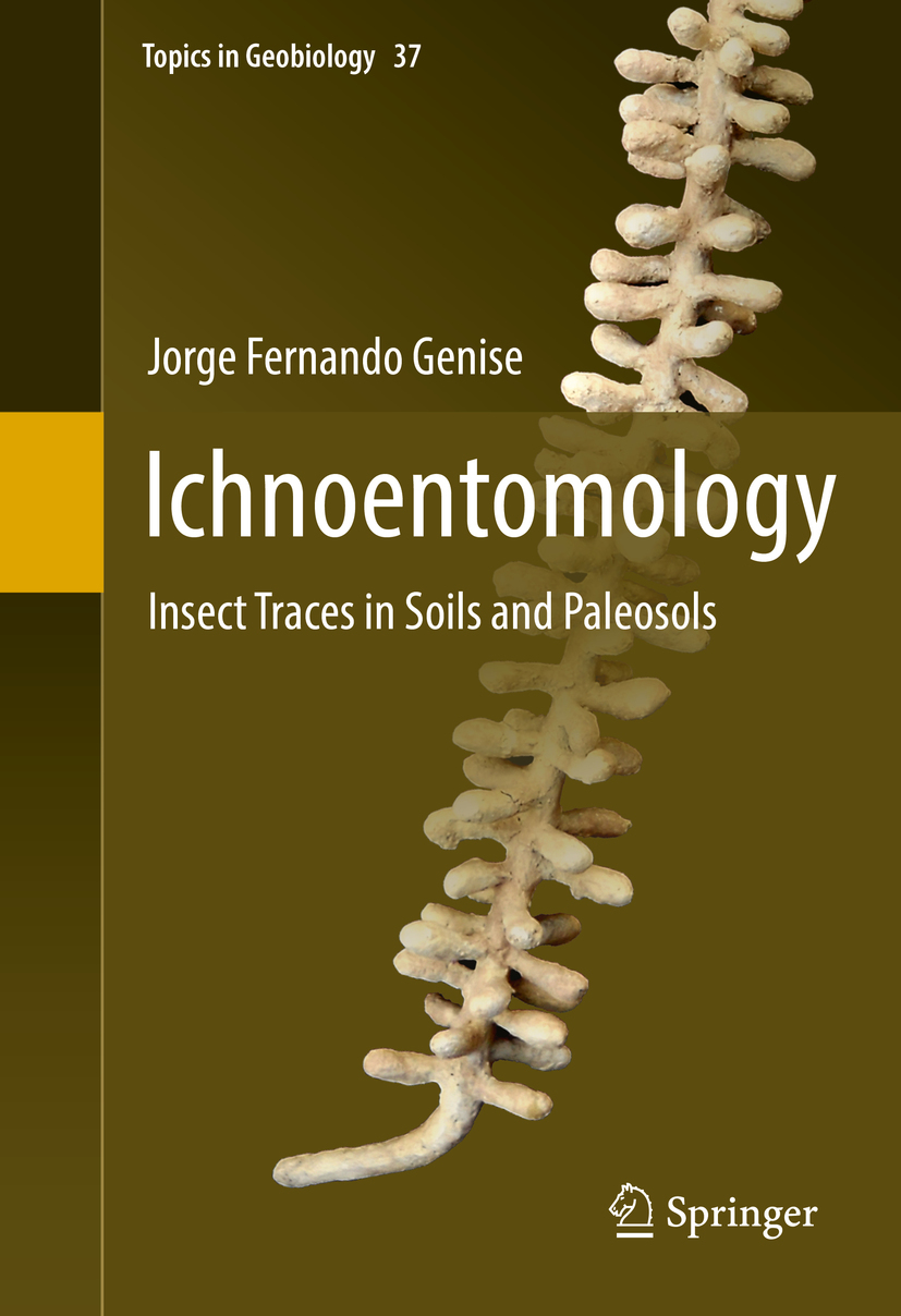 Genise, Jorge Fernando - Ichnoentomology, ebook