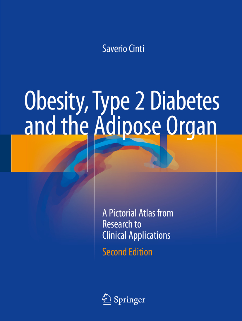 Cinti, Saverio - Obesity, Type 2 Diabetes and the Adipose Organ, ebook