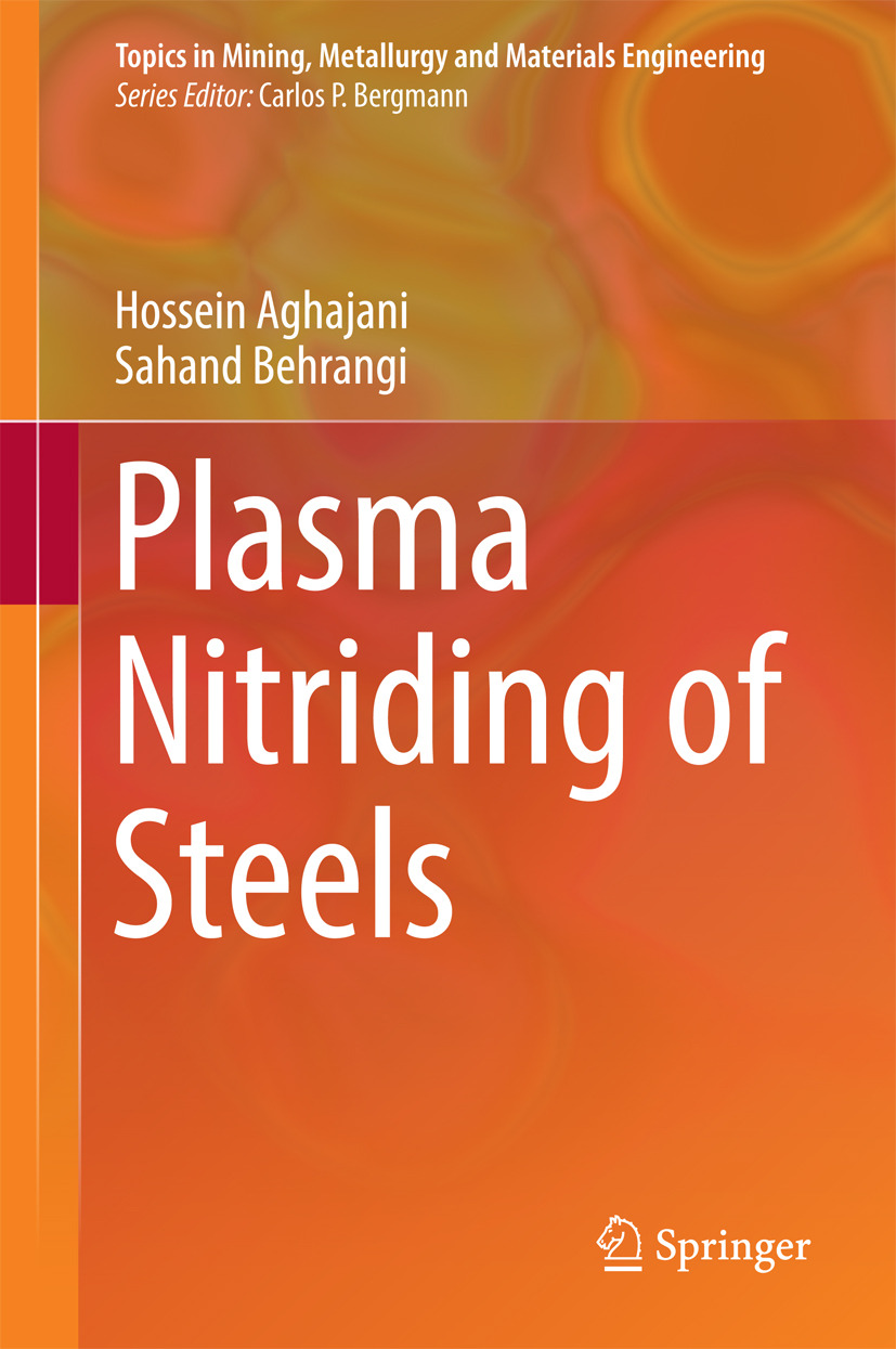 Aghajani, Hossein - Plasma Nitriding of Steels, e-bok