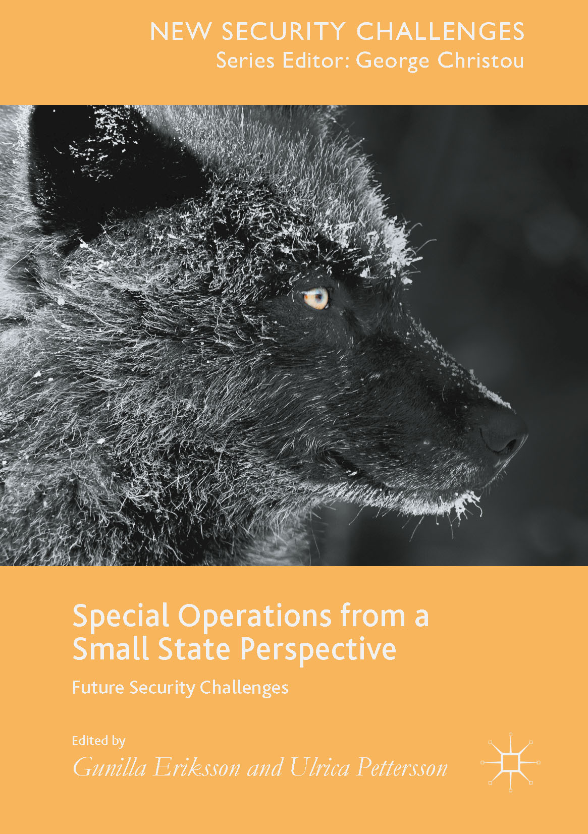 Eriksson, Gunilla - Special Operations from a Small State Perspective, ebook