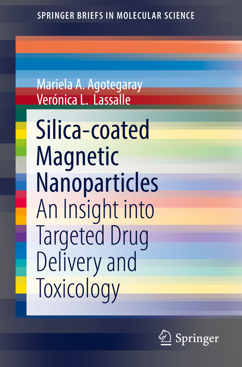 Agotegaray, Mariela A. - Silica-coated Magnetic Nanoparticles, e-bok