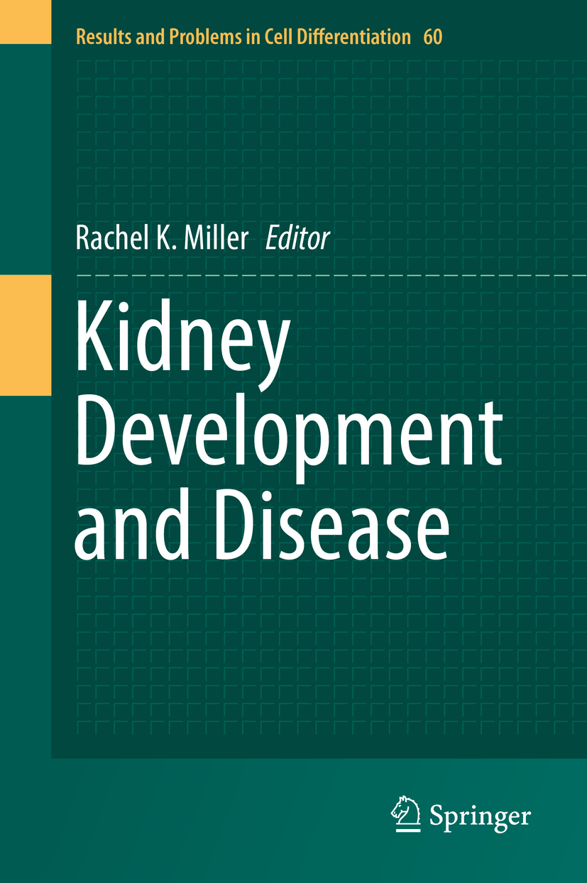 Miller, Rachel K. - Kidney Development and Disease, ebook