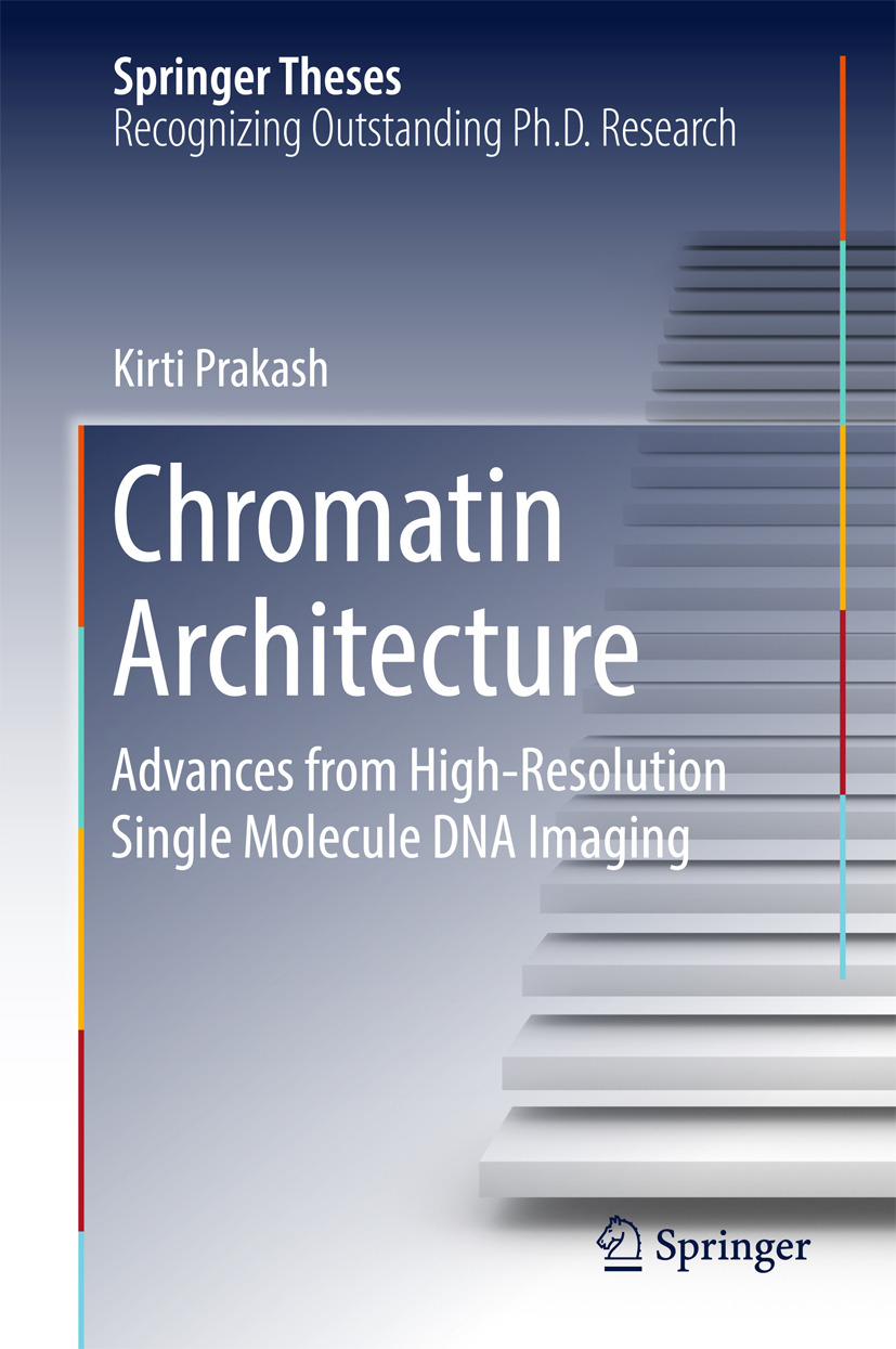 Prakash, Kirti - Chromatin Architecture, ebook
