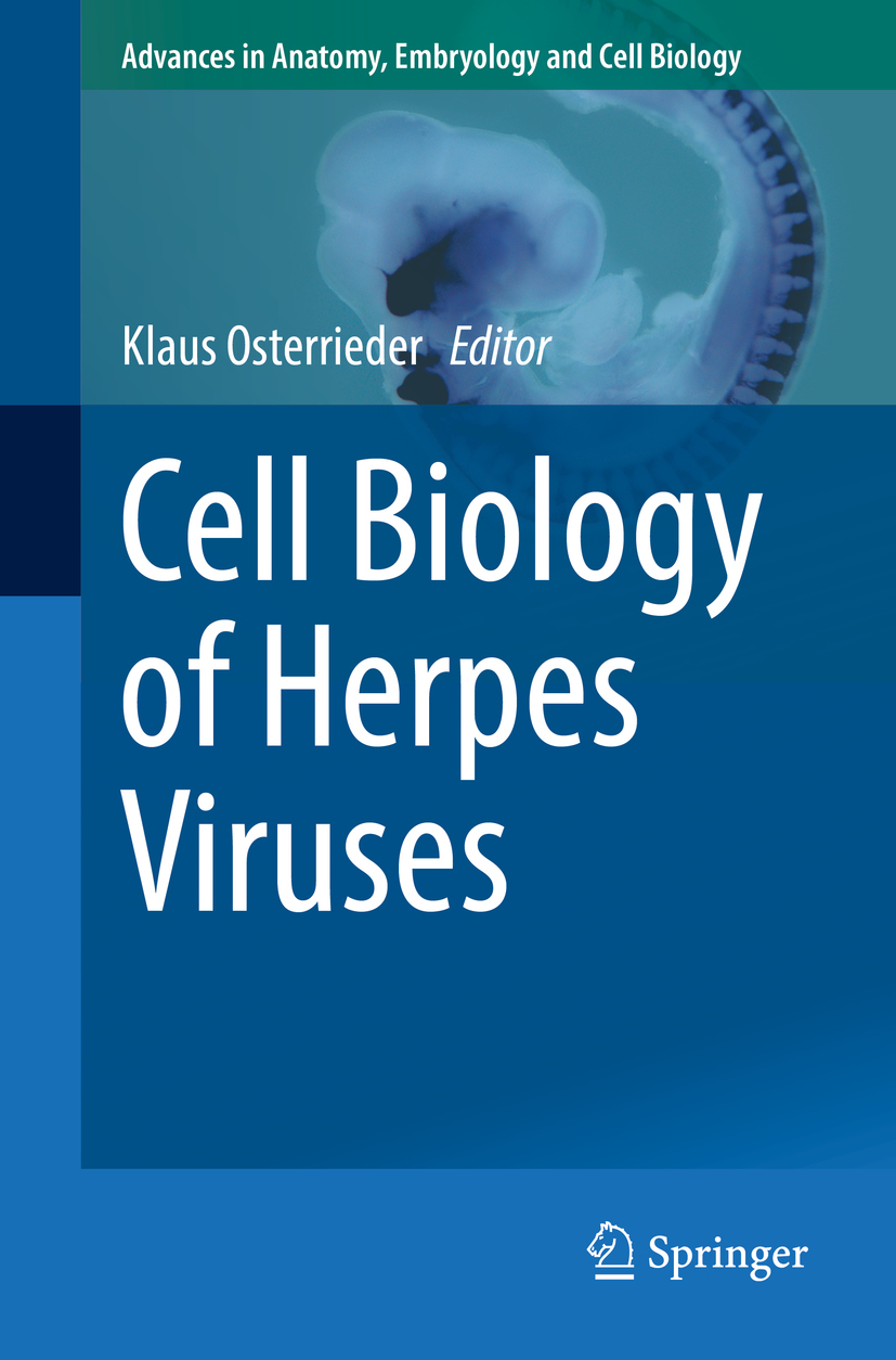 Osterrieder, Klaus - Cell Biology of Herpes Viruses, e-bok