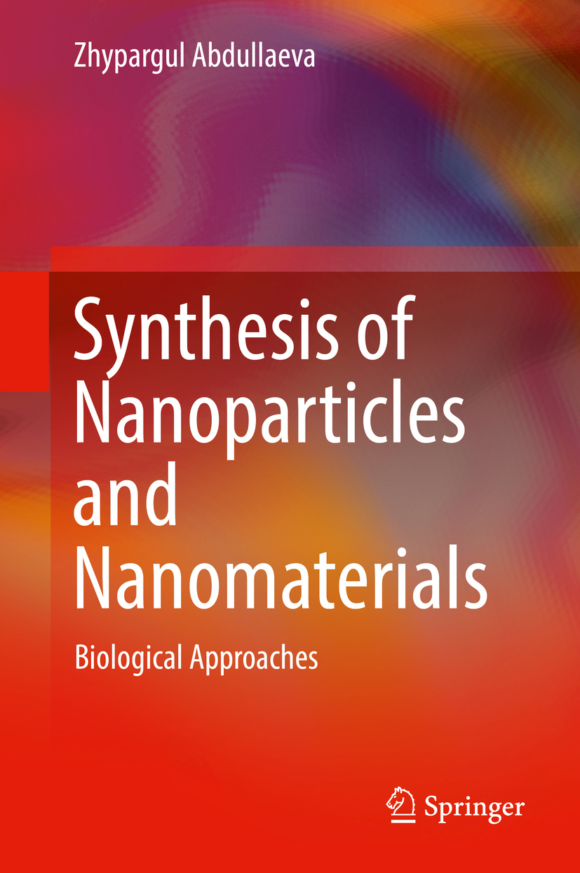 Abdullaeva, Zhypargul - Synthesis of Nanoparticles and Nanomaterials, e-bok