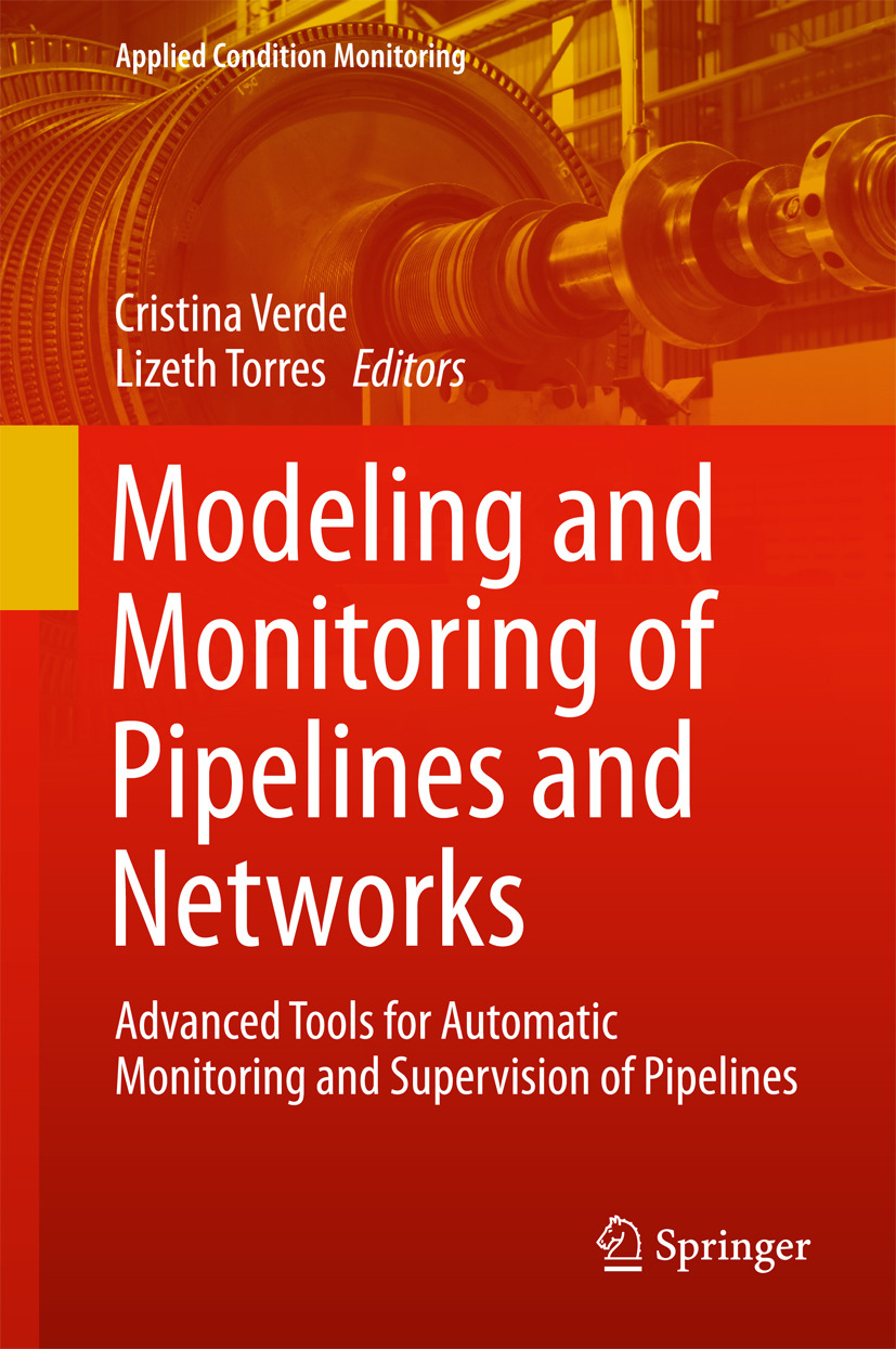 Torres, Lizeth - Modeling and Monitoring of Pipelines and Networks, e-bok