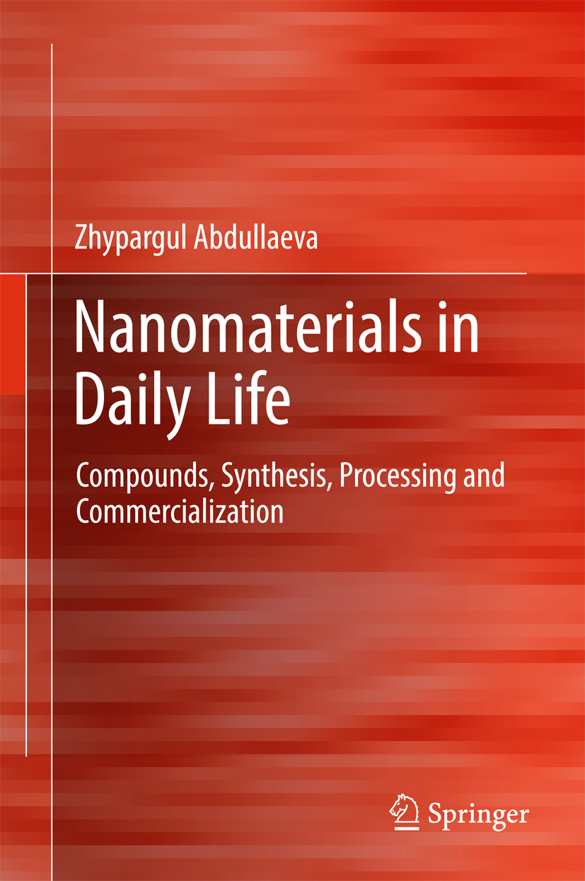 Abdullaeva, Zhypargul - Nanomaterials in Daily Life, ebook