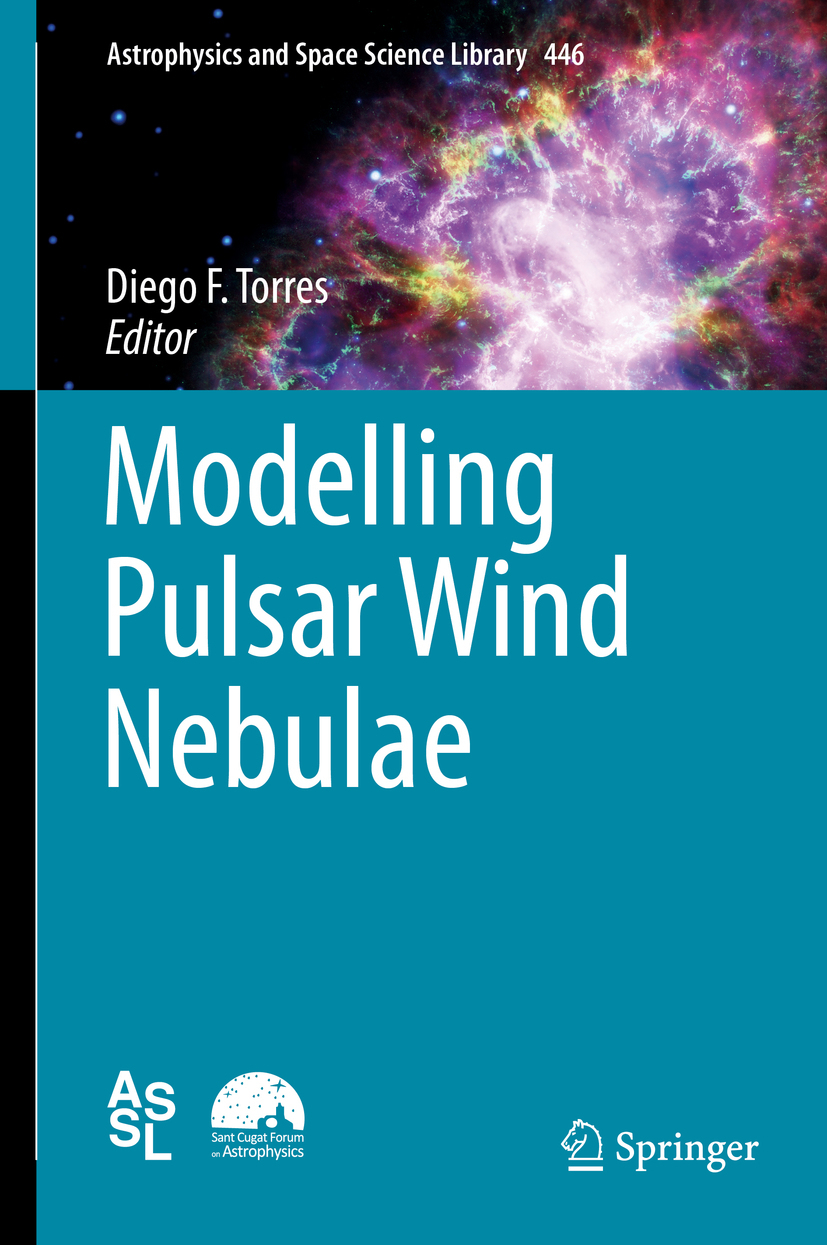 Torres, Diego F. - Modelling Pulsar Wind Nebulae, ebook