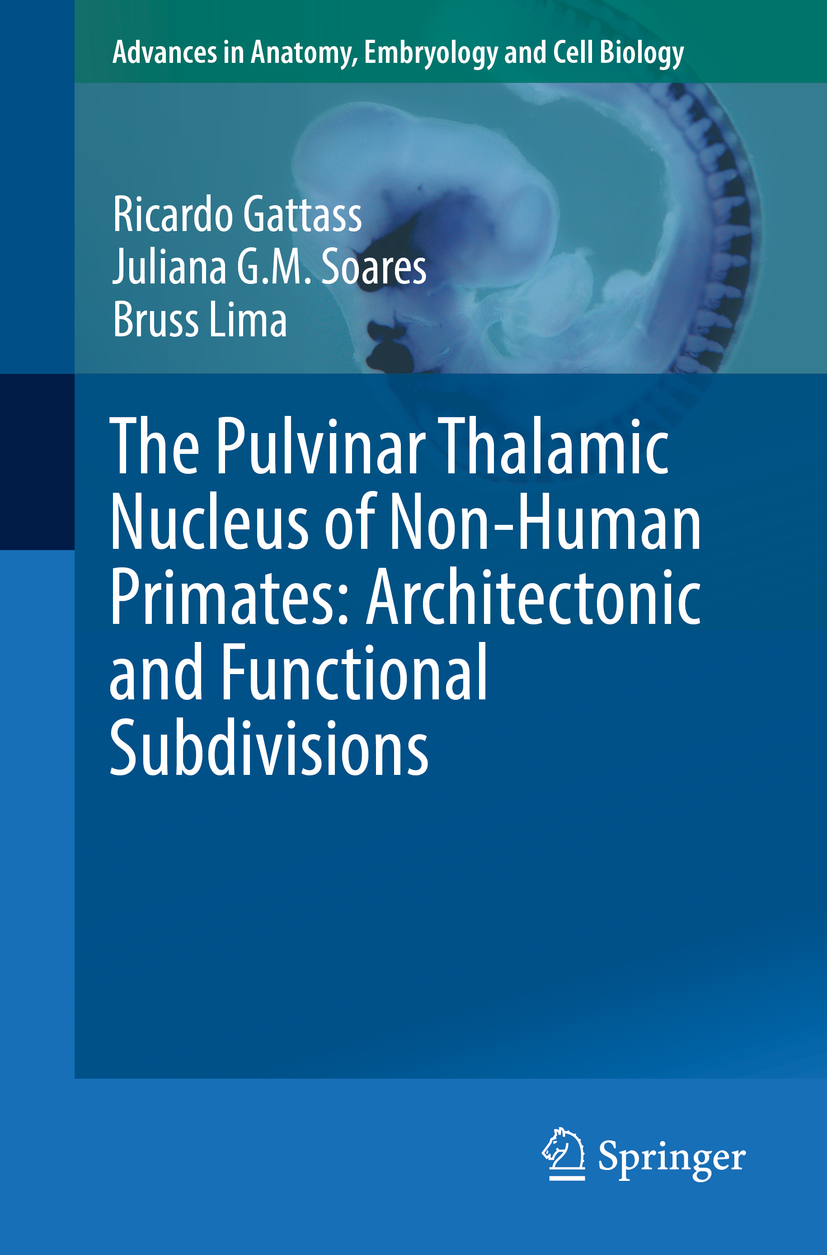 Gattass, Ricardo - The Pulvinar Thalamic Nucleus of Non-Human Primates: Architectonic and Functional Subdivisions, e-bok