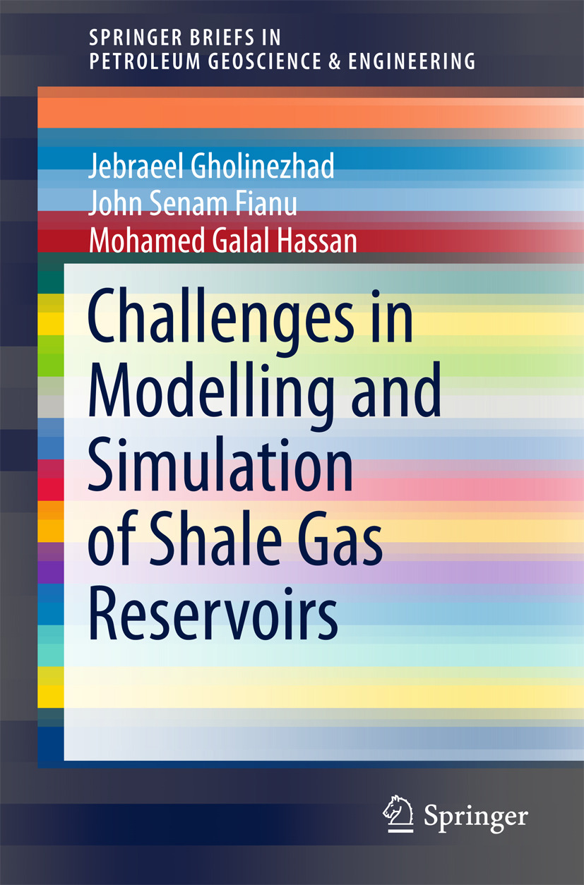 Fianu, John Senam - Challenges in Modelling and Simulation of Shale Gas Reservoirs, ebook