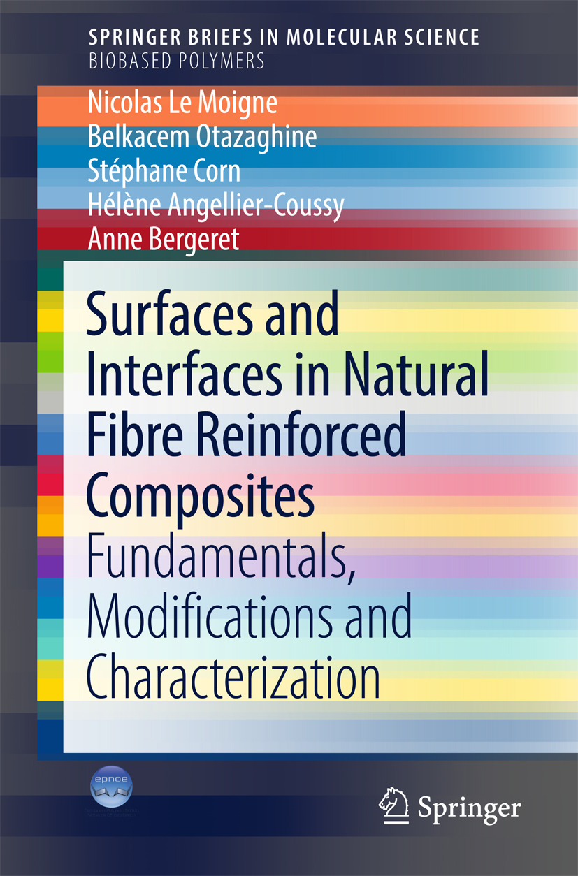 Angellier-Coussy, Hélène - Surfaces and Interfaces in Natural Fibre Reinforced Composites, e-bok