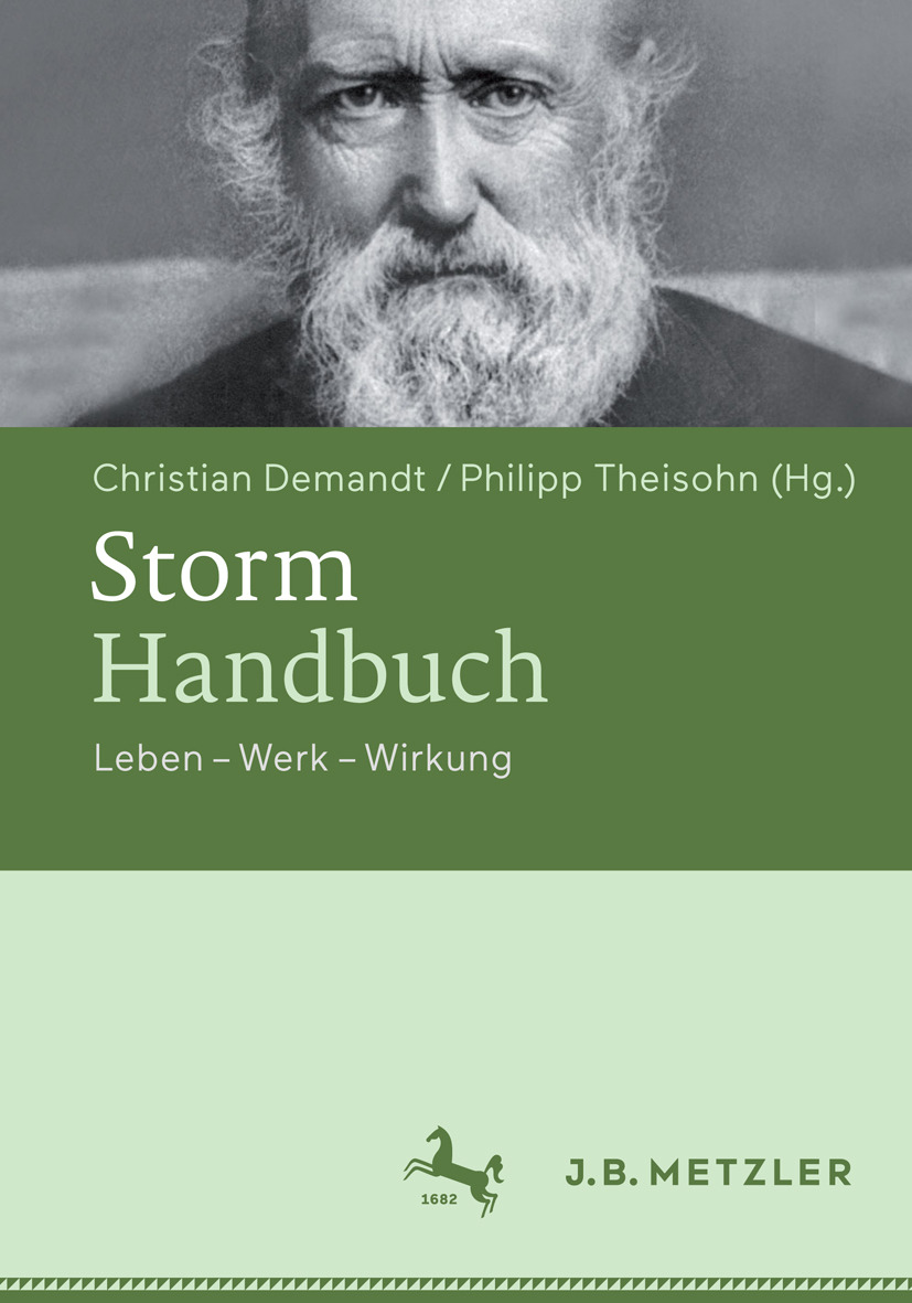 Demandt, Christian - Storm-Handbuch, ebook
