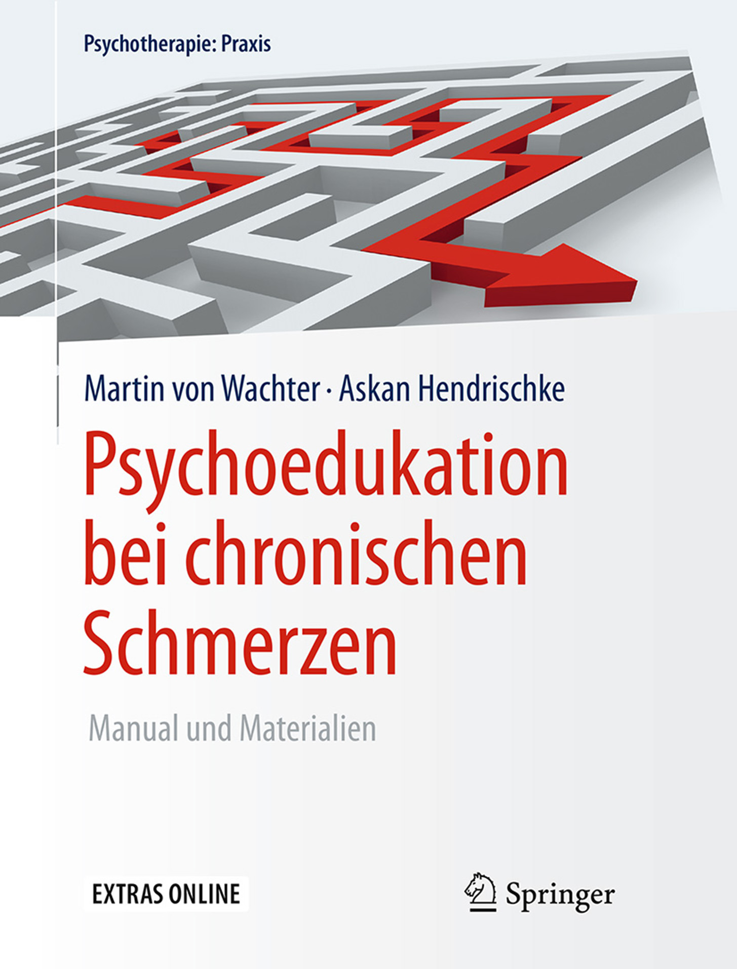 Hendrischke, Askan - Psychoedukation bei chronischen Schmerzen, ebook