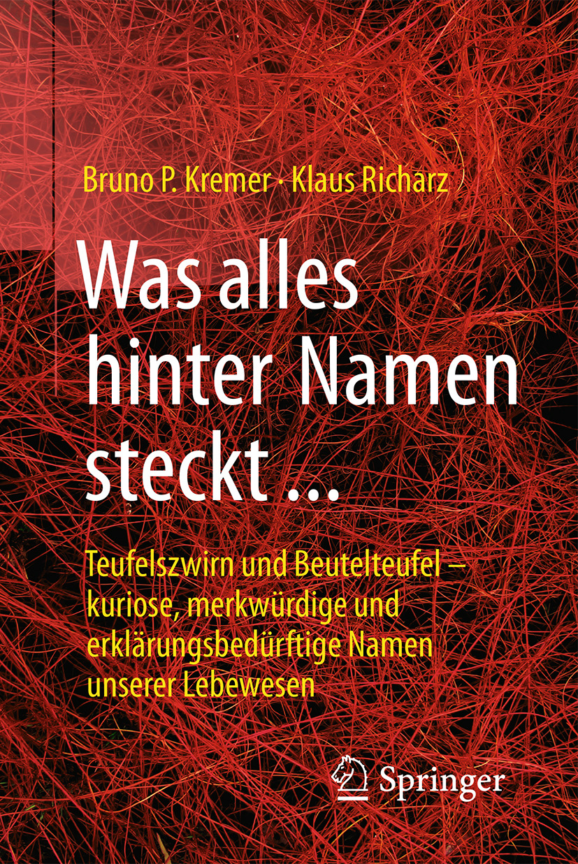 Kremer, Bruno P. - Was alles hinter Namen steckt, ebook