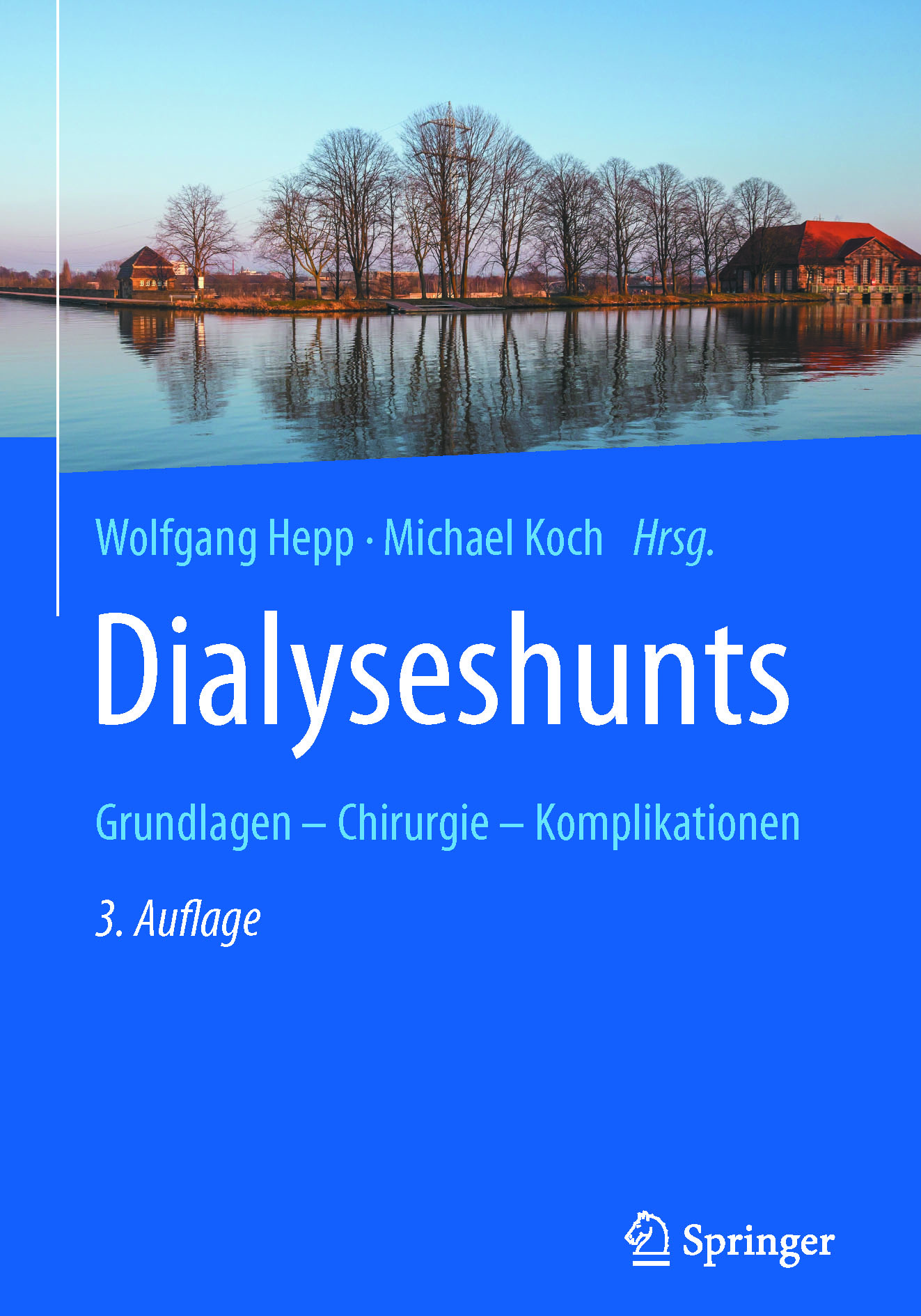 Hepp, Wolfgang - Dialyseshunts, e-kirja