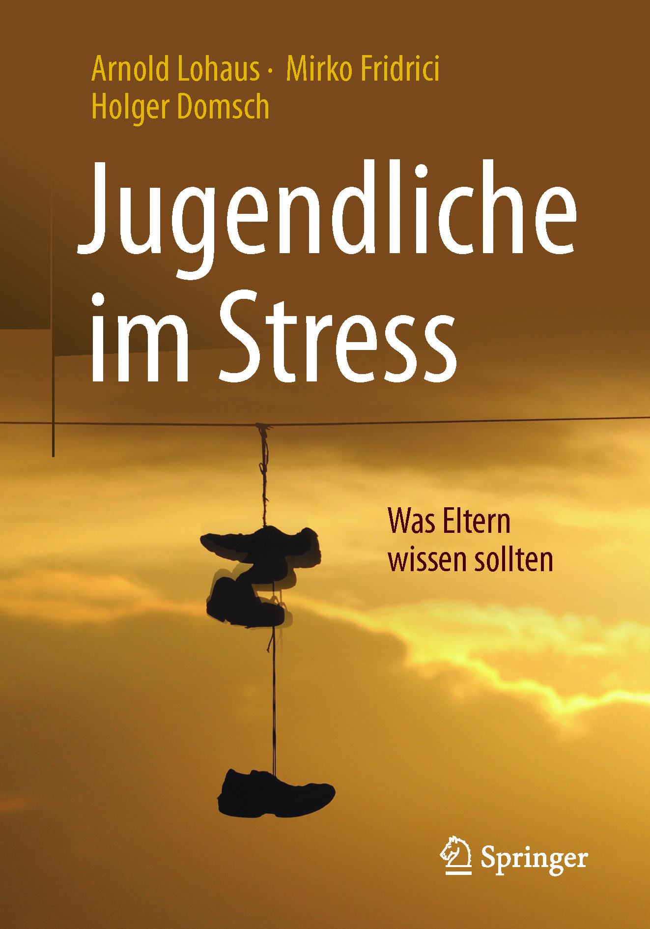 Domsch, Holger - Jugendliche im Stress, e-kirja