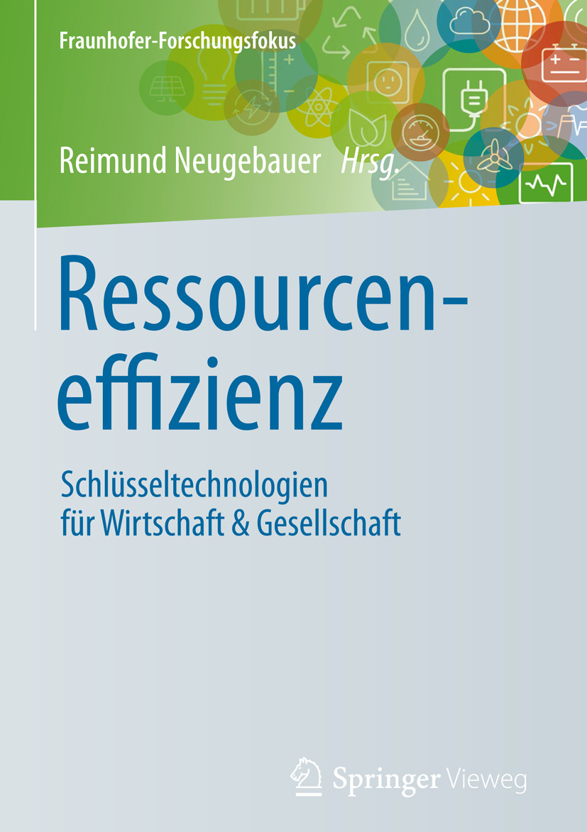 Neugebauer, Reimund - Ressourceneffizienz, ebook