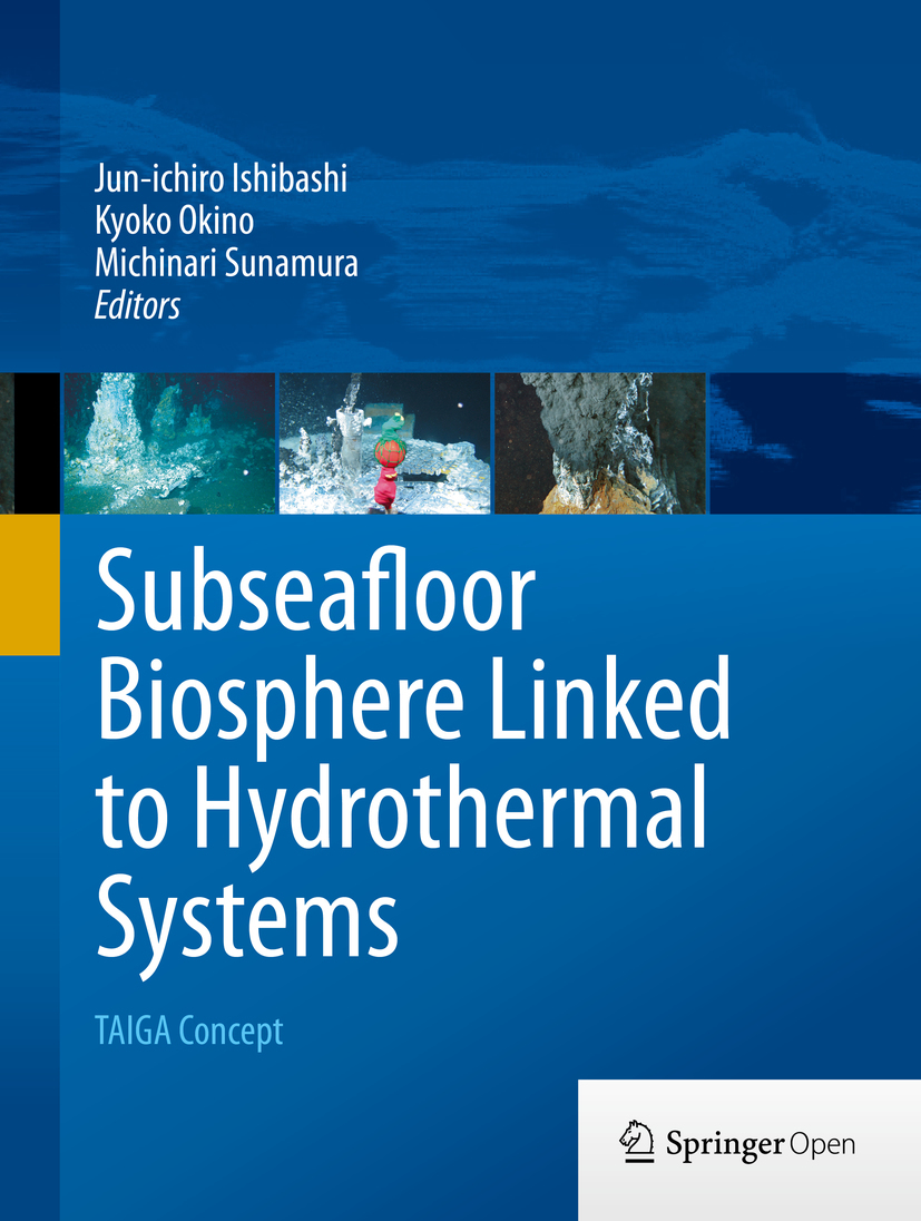 Ishibashi, Jun-ichiro - Subseafloor Biosphere Linked to Hydrothermal Systems, ebook