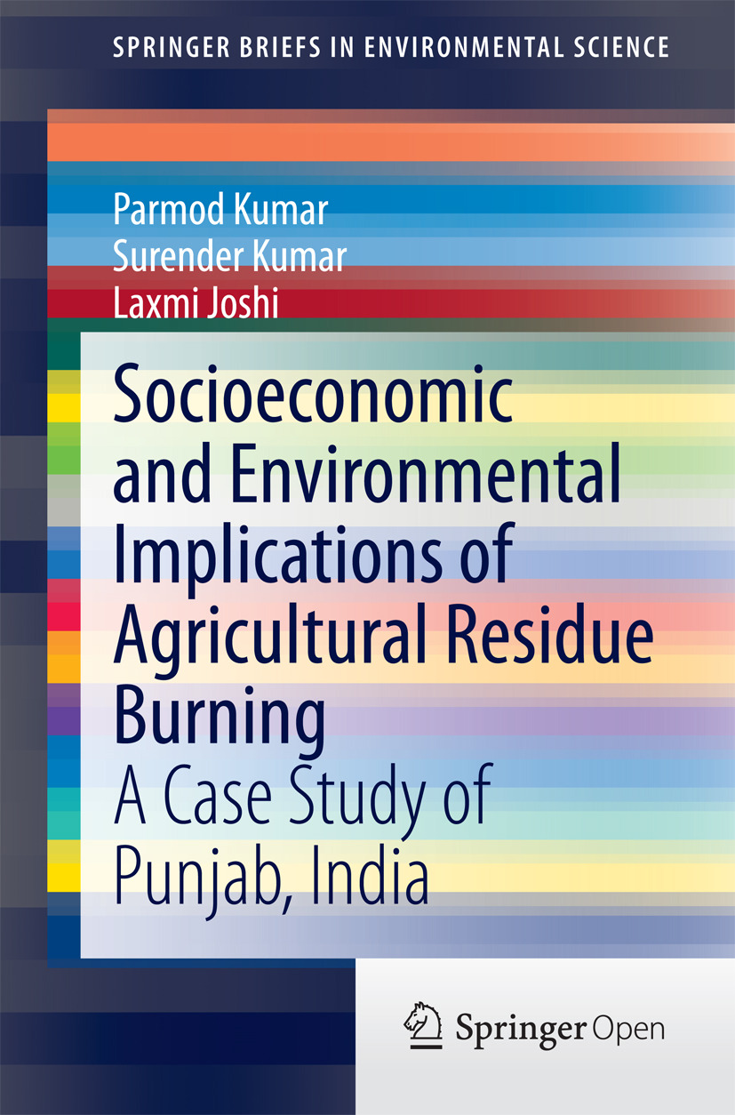 Joshi, Laxmi - Socioeconomic and Environmental Implications of Agricultural Residue Burning, e-kirja