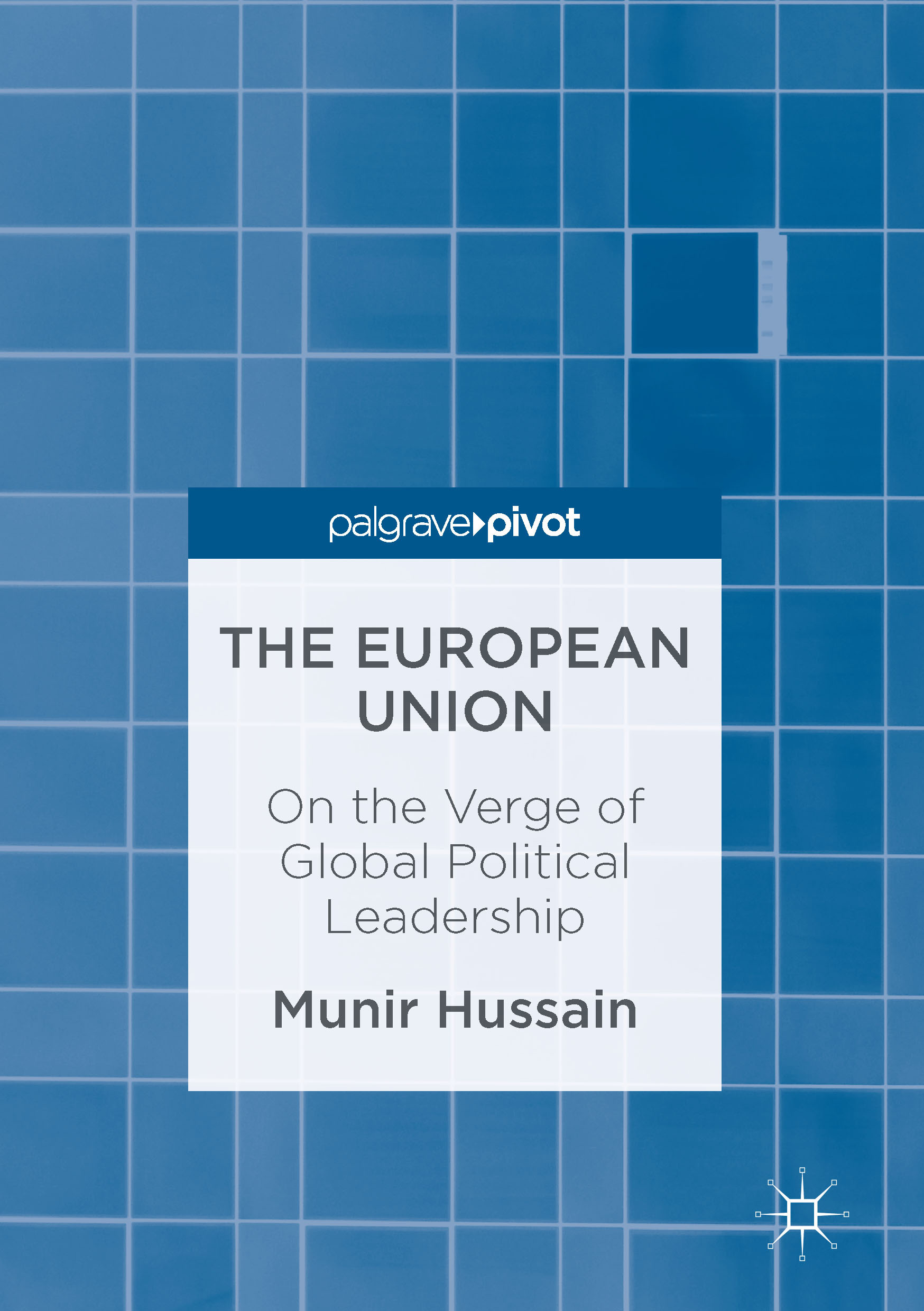 Hussain, Munir - The European Union, e-kirja