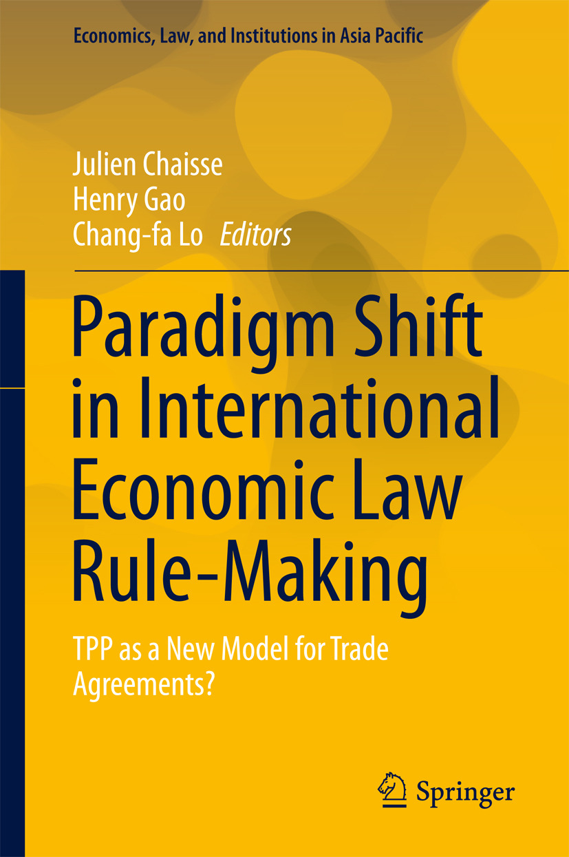 Chaisse, Julien - Paradigm Shift in International Economic Law Rule-Making, e-kirja