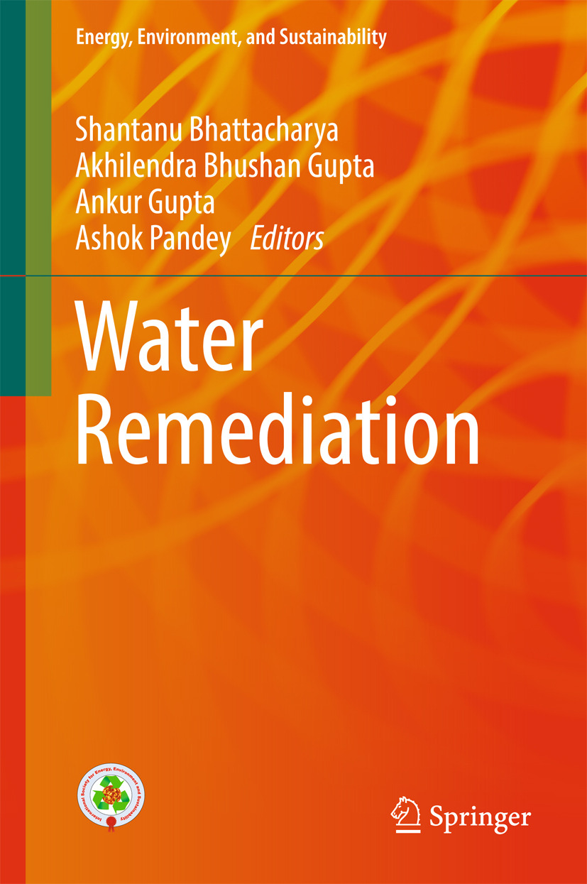 Bhattacharya, Shantanu - Water Remediation, e-bok