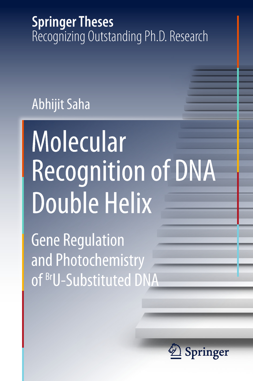 Saha, Abhijit - Molecular Recognition of DNA Double Helix, ebook
