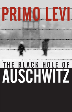 Levi, Primo - The Black Hole of Auschwitz, ebook