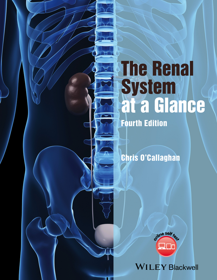 O'Callaghan, Christopher - The Renal System at a Glance, ebook
