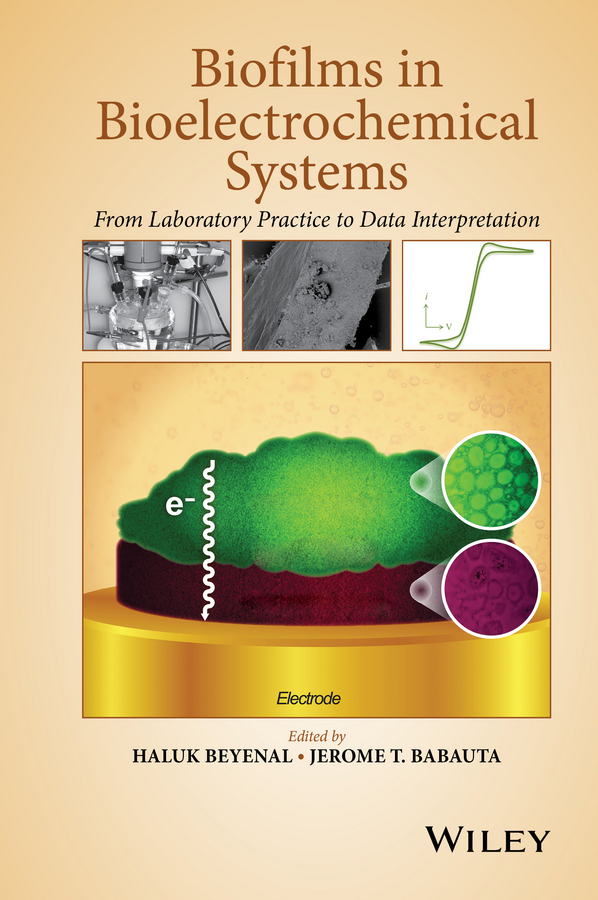 Babauta, Jerome T. - Biofilms in Bioelectrochemical Systems: From Laboratory Practice to Data Interpretation, e-bok