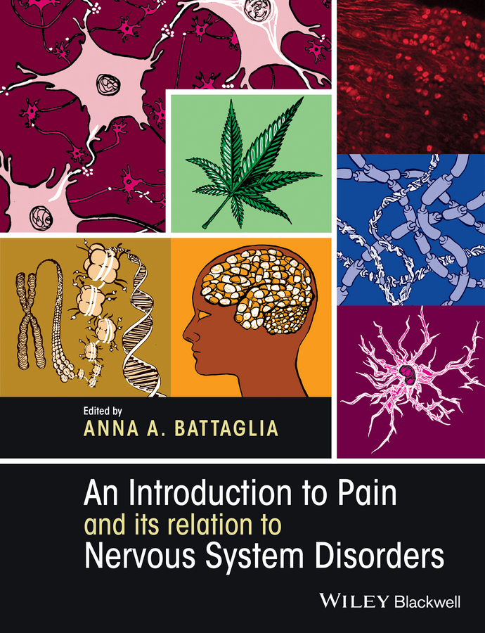 Battaglia, Anna A. - An Introduction to Pain and its relation to Nervous System Disorders, e-kirja