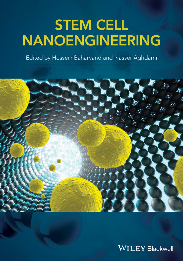 Baharvand, H. - Stem Cell Nanoengineering, e-bok