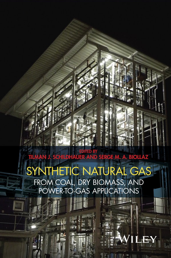 Biollaz, Serge - Synthetic Natural Gas: From Coal, Dry Biomass, and Power-to-Gas Applications, e-kirja