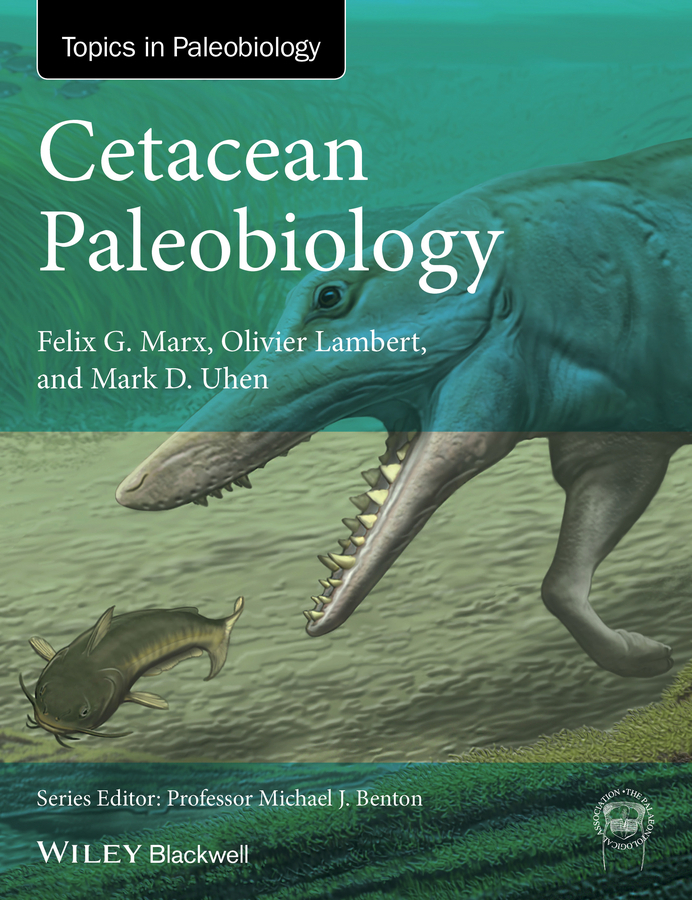 Lambert, Olivier - Cetacean Paleobiology, e-bok
