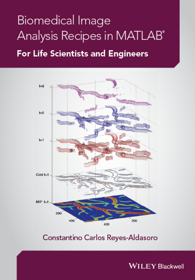 Reyes-Aldasoro, Constantino Carlos - Biomedical Image Analysis Recipes in MATLAB: For Life Scientists and Engineers, ebook