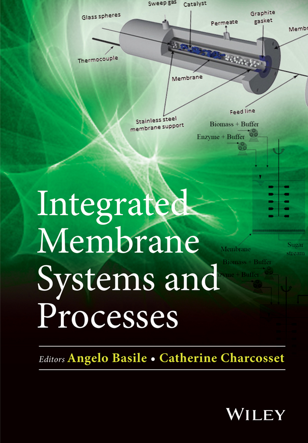 Basile, Angelo - Integrated Membrane Systems and Processes, e-kirja