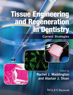Sloan, Alastair J. - Tissue Engineering and Regeneration in Dentistry: Current Strategies, ebook