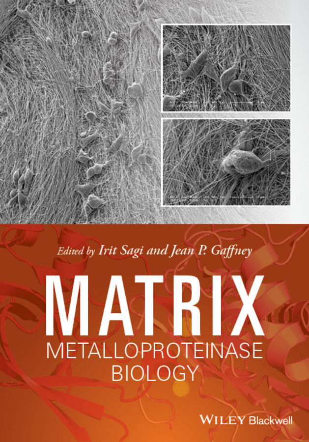 Gaffney, Jean - Matrix Metalloproteinase Biology, e-bok