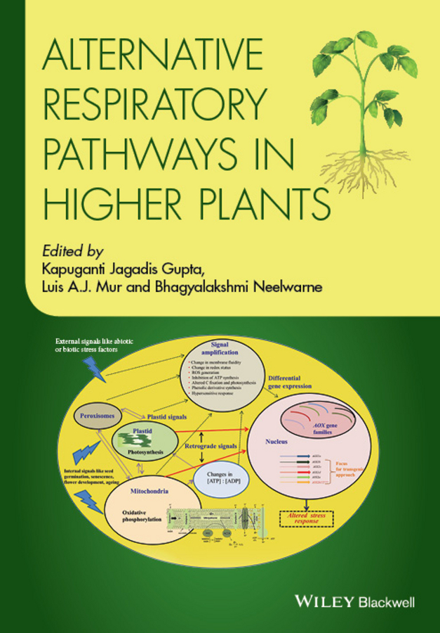Gupta, Kapuganti Jagadis - Alternative Respiratory Pathways in Higher Plants, ebook