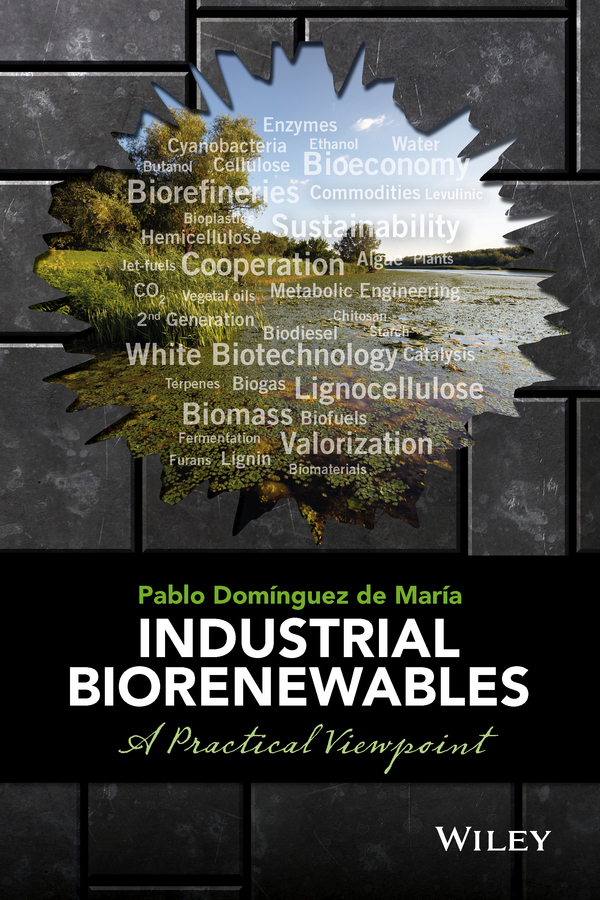 María, Pablo Domínguez de - Industrial Biorenewables: A Practical Viewpoint, ebook